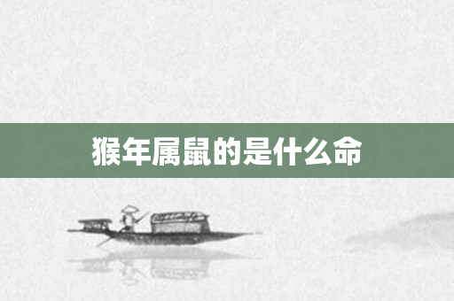 猴年属鼠的是什么命
