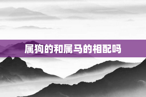 属狗的和属马的相配吗