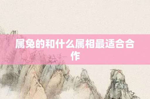 属兔的和什么属相最适合合作