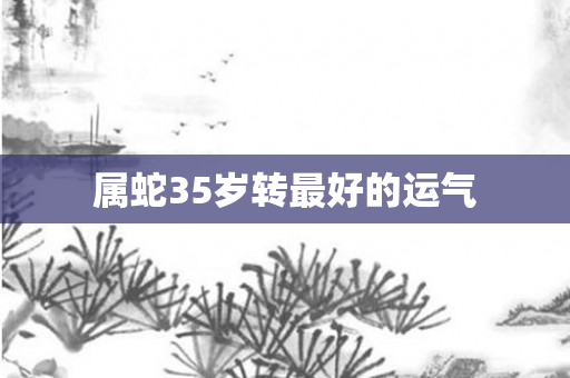 属蛇35岁转更好的运气
