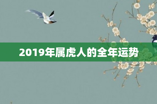 2019年属虎人的全年运势