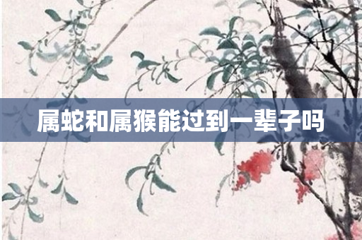 属蛇和属猴能过到一辈子吗