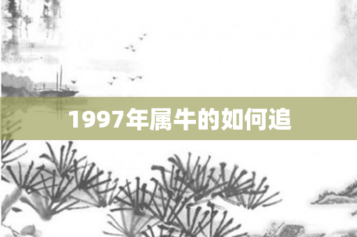 1997年属牛的如何追