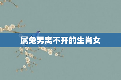 属兔男离不开的生肖女