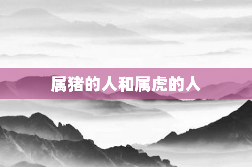 属猪的人和属虎的人
