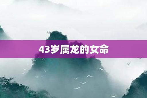 43岁属龙的女命
