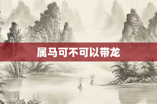 属马可不可以带龙