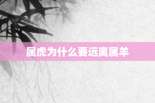 属虎为什么要远离属羊