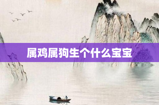 属鸡属狗生个什么宝宝