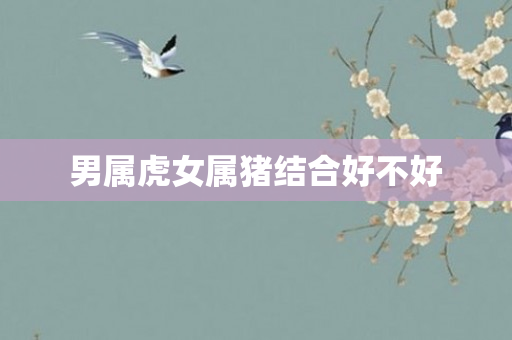 男属虎女属猪结合好不好