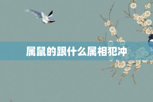 属鼠的跟什么属相犯冲