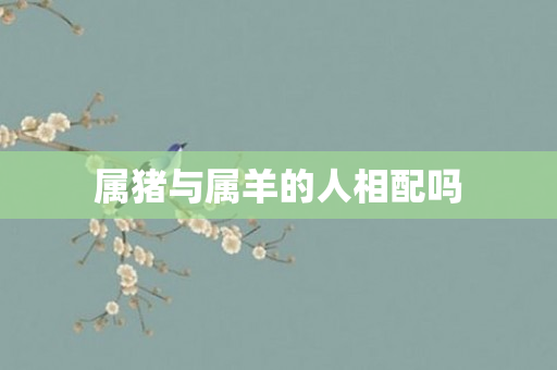 属猪与属羊的人相配吗