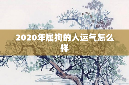 2020年属狗的人运气怎么样