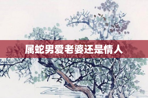 属蛇男爱老婆还是情人