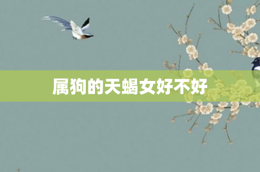 属狗的天蝎女好不好