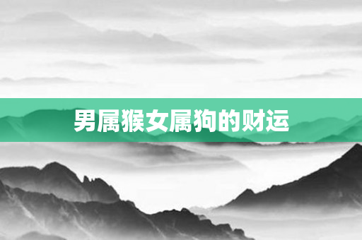 男属猴女属狗的财运