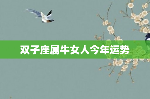 双子座属牛女人今年运势