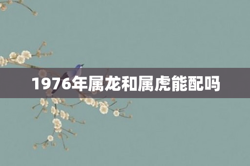 1976年属龙和属虎能配吗