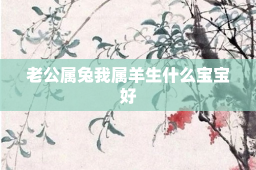 老公属兔我属羊生什么宝宝好