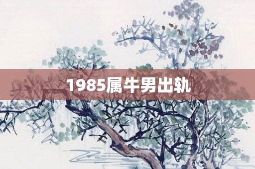 1985属牛男出轨