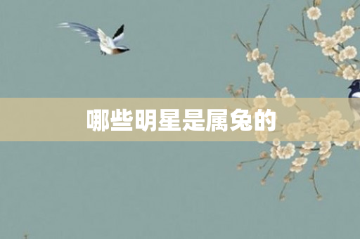 哪些明星是属兔的