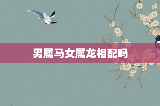 男属马女属龙相配吗