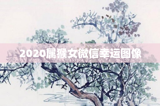 2020属猴女微信幸运图像