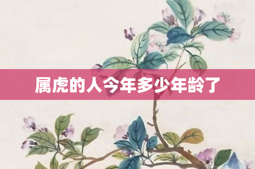 属虎的人今年多少年龄了