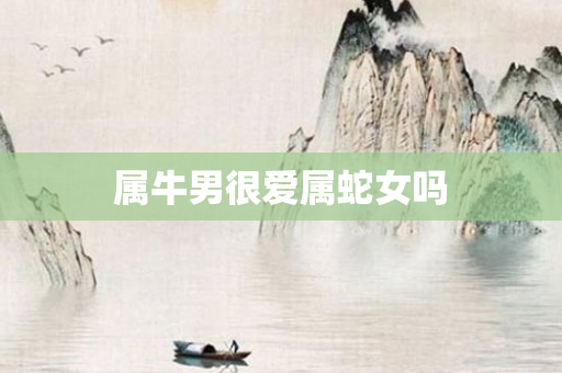 属牛男很爱属蛇女吗