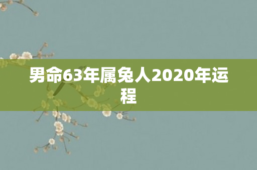 男命63年属兔人2020年运程
