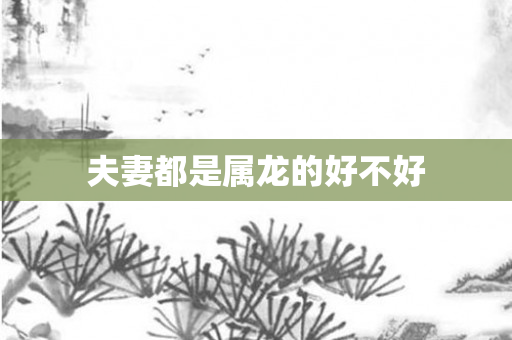 夫妻都是属龙的好不好