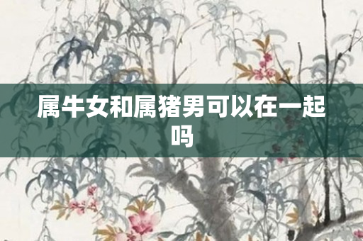 属牛女和属猪男可以在一起吗
