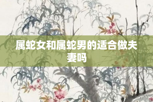 属蛇女和属蛇男的适合做夫妻吗