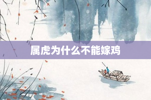 属虎为什么不能嫁鸡