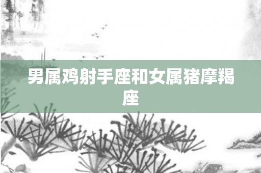 男属鸡射手座和女属猪摩羯座