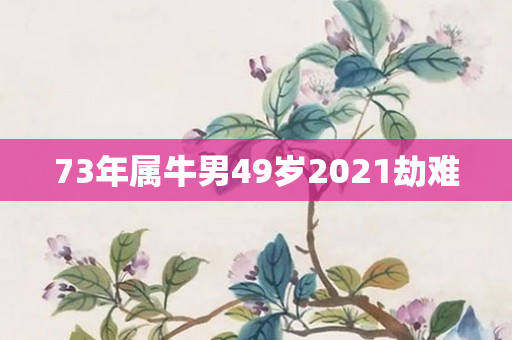 73年属牛男49岁2021劫难