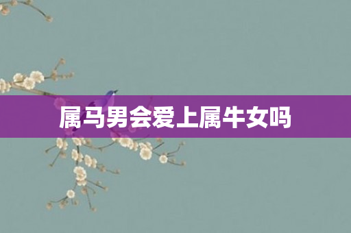 属马男会爱上属牛女吗