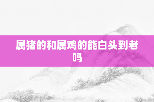 属猪的和属鸡的能白头到老吗