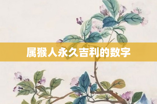 属猴人永久吉利的数字