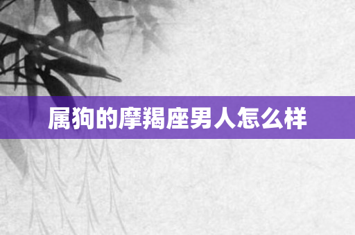 属狗的摩羯座男人怎么样