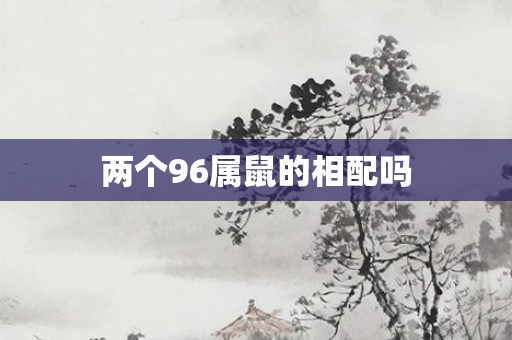 两个96属鼠的相配吗