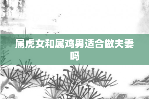 属虎女和属鸡男适合做夫妻吗