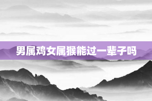 男属鸡女属猴能过一辈子吗