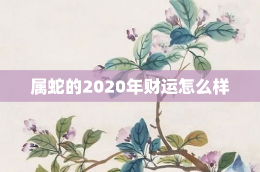 属蛇的2020年财运怎么样