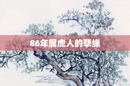 86年属虎人的孽缘