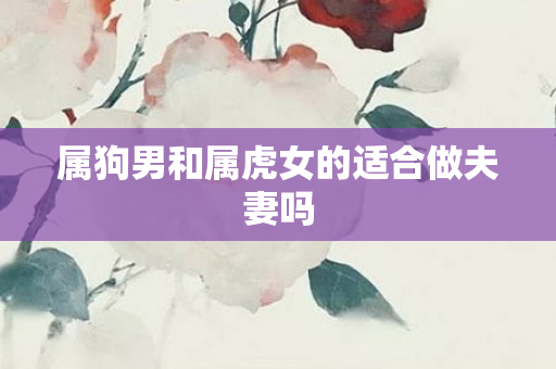 属狗男和属虎女的适合做夫妻吗