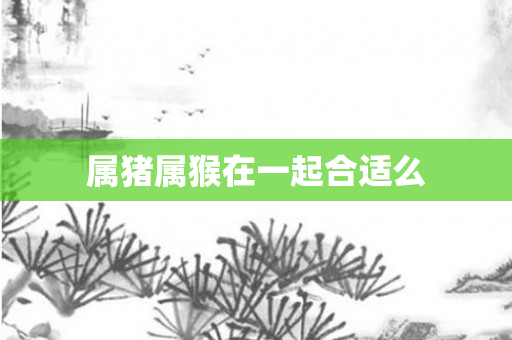 属猪属猴在一起合适么