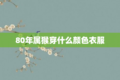 80年属猴穿什么颜色衣服