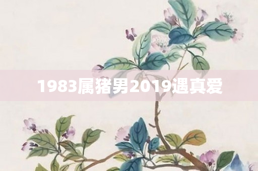 1983属猪男2019遇真爱