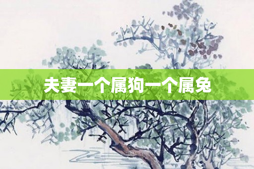 夫妻一个属狗一个属兔